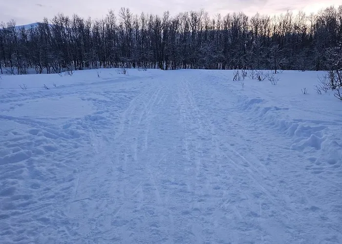 Apartamento Sjarmerende Sentralt Pa Tromsoya